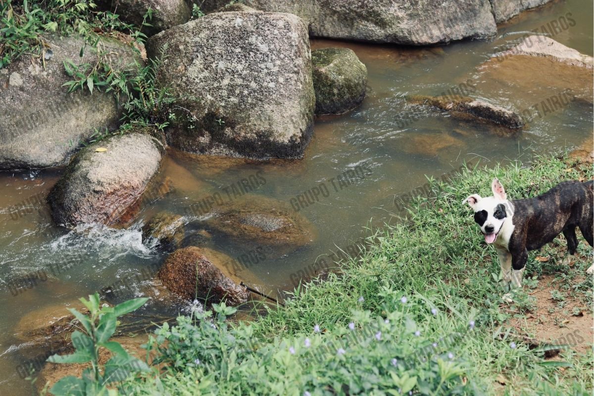 Unidade Masculina - Área de Convivência